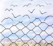 liberta-di-pensiero